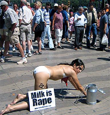 Milk is a RAPE / Leche es VIOLACIÓN